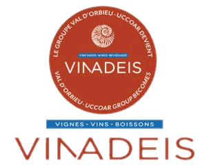 logo-vinadeis